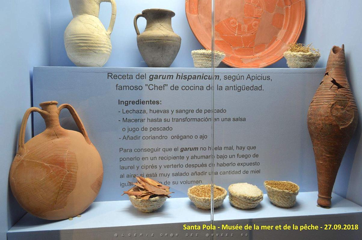 35 SANTA POLA - MUSEE DE LA MER ET DE LA PECHE (180).JPG